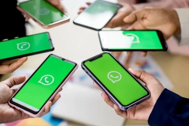 Tak Pernah Nimbrung di Grup WA? Simak 5 Ciri Kepribadian 'Silent Reader' di Grup WhatsApp, Menurut Perspektif Psikologi