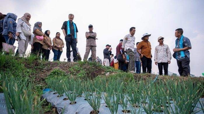 Dukung Ketahanan Pangan, Kementan Kembangan Pertanian Dataran Tinggi