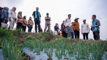 Dukung Ketahanan Pangan, Kementan Kembangan Pertanian Dataran Tinggi