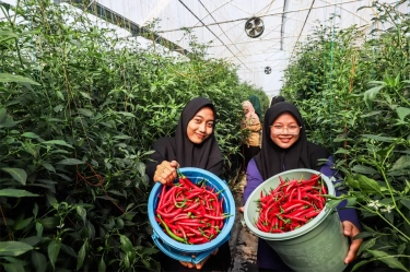 Pesantren Fathul Ulum Jombang: Sinergi dengan BI, Wujudkan Kemandirian Pangan dan Pemberdayaan Masyarakat