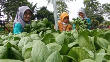 Tren Hidup Sehat, Kampanye Konsumsi Sayur dan Buah Organik Lokal Makin Gencar