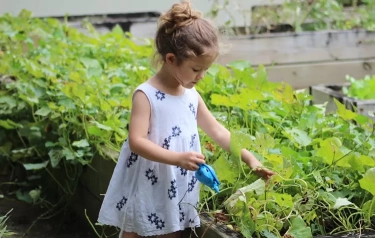 4 Zodiak yang Memiliki Bakat Alami Berkebun dan Merawat Tanaman, Memiliki Kemampuan Menciptakan Ruang Hijau bagi Banyak Orang