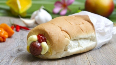 Cara Nikmat Makan Hula Dog Sambil Bermain Apex Legends: Panduan Praktis untuk Gamer yang Suka Makan