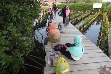 Cara Platform Belanja Tekan Emisi Karbon Libatkan Kesadaran Pekerja dan Penggunanya