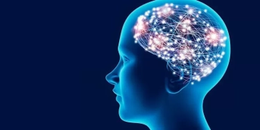 Mengenal Neurodevelopment: Gangguan Fungsi Otak yang Rentan Menyerang Anak-anak dan Remaja