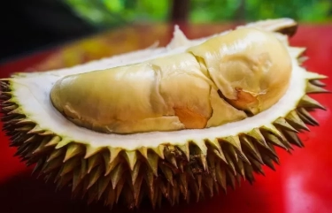 5 Efek Samping Terlalu Banyak Makan Buah Durian, Salah Satunya Menyebabkan Reaksi Alergi
