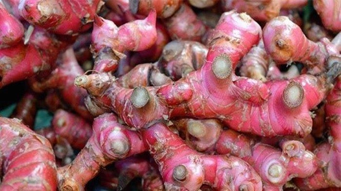 Formula  Baru Jahe Merah  dan Agas untuk Tangkal Masuk Angin