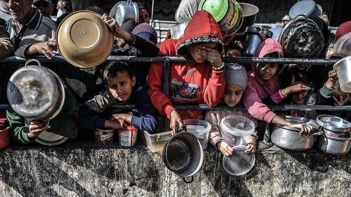 Krisis Kemanusiaan di Gaza: Meningkatnya Kelaparan dan Tragedi Toko Roti