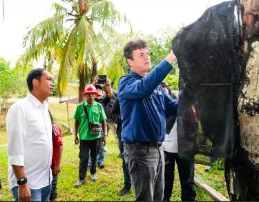 Menhut Raja Juli Antoni Yakin Aren jadi Alternatif Energi Hijau dan Sumber Bioetanol