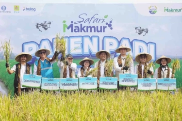 Tingkatkan Produktivitas Pertanian, Pupuk Indonesia 