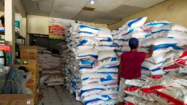 Komisi VI DPR Dukung Pengesahan Perpres Penyederhanaan Rantai Distribusi Pupuk Subsidi