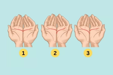 Tes Kepribadian: Garis Telapak Tangan Kamu Ungkap Berbagai Karakter yang Tersembunyi, Apa Saja?