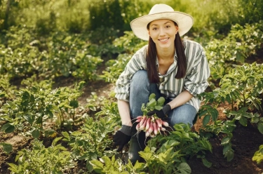 Inilah 5 Tips Menerapkan Homesteading yang Semakin Populer di Indonesia, Gaya Hidup Berkelanjutan