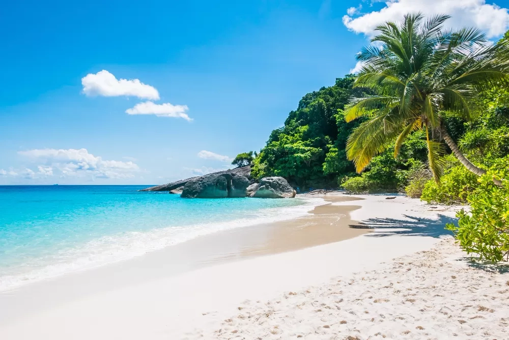 5 Rekomendasi Pantai Sunyi dan Tenang di Banyuwangi untuk Liburan Natal