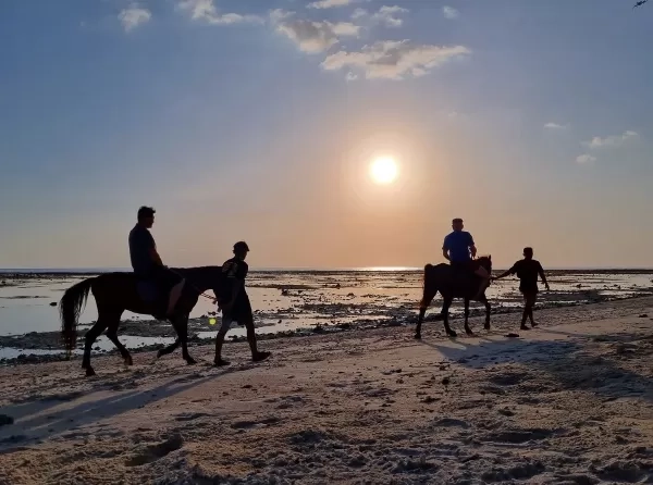 6 Wisata Pantai Terbaik untuk Keluarga di Gili Trawangan, Yuk Pesan Tiketnya Sekarang