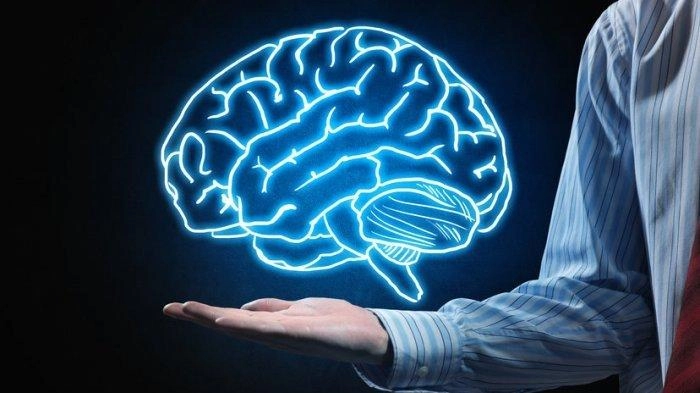 Penggunaan Digital Subtraction Angiography untuk Deteksi Kelainan pada Otak