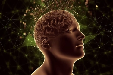 Jika Seseorang Menunjukkan 8 Tanda Ini, Artinya Dia Memiliki Kecerdasan Emosional Tinggi, Apa Saja?