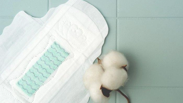 Ciri-Ciri Pembalut yang Aman untuk Kesehatan Wanita
