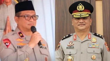 Irjen Pol. Purn. Drs. Armia Fahmi, S.H., M.H.