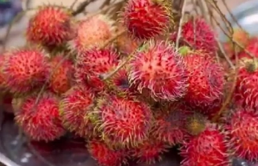 Simak! 5 Manfaat Buah Rambutan Bagi Kesehatan Tubuh