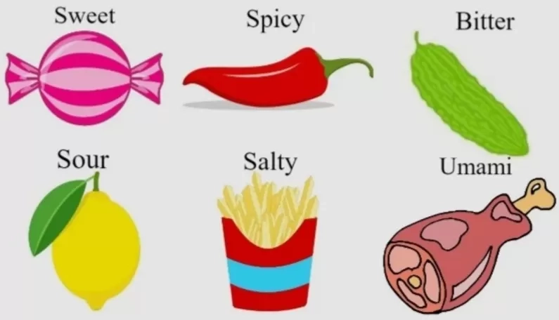 Apa Rasa Favoritmu? Ternyata Preferensi Selera Makanan Ini Bisa Menggambarkan Karakter dan Kepribadianmu