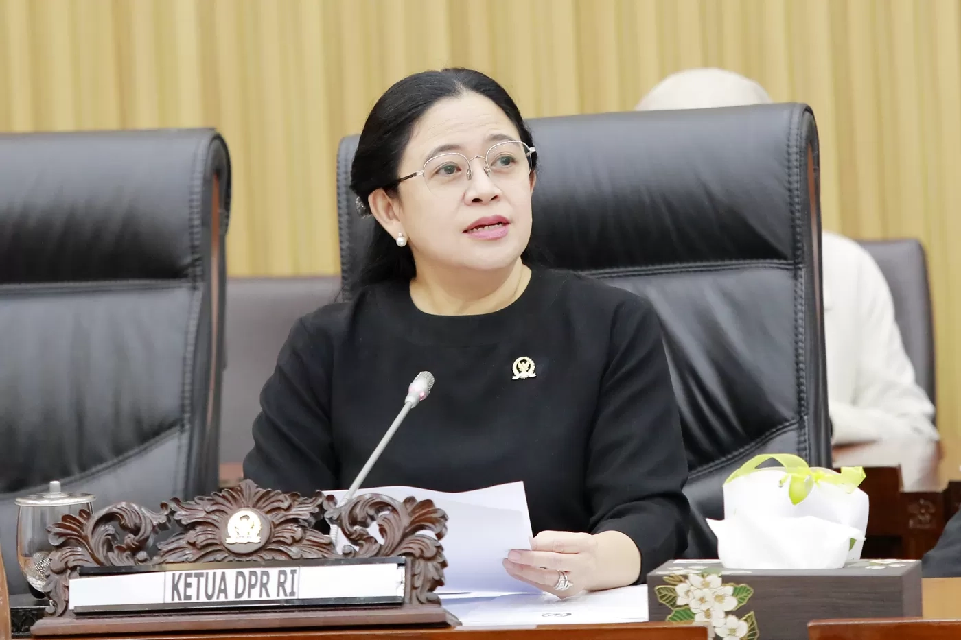 Hari HAM, Puan Berharap Hadirnya Kementerian HAM Mampu Bawa Kemajuan Hak Asasi bagi Setiap Warga Negara