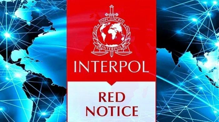 Buronan Interpol Yan Zhenxing Ditangkap di Batam, Terlibat Kasus Judi Online dan Pencucian Uang