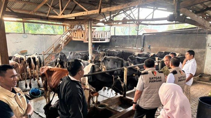Satgas Pangan Polri Awasi Industri Pengolahan Susu di Jateng dan Jatim, Ini yang Ditemukan