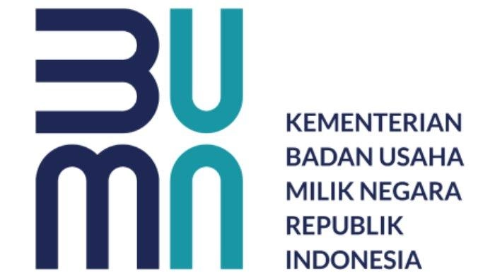 Syarat dan Cara Daftar Relawan Bakti BUMN Batch VII 2025