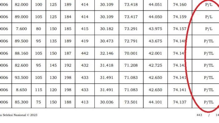 Hasil Seleksi CPNS 2024 Diumumkan, Ini Arti Kode P, L, L-1, L-2, TL, TH, TMS, TMS 1, dan APS