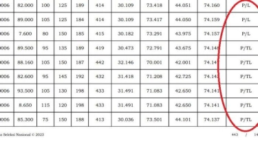 Hasil Seleksi CPNS 2024 Diumumkan, Ini Arti Kode P, L, L-1, L-2, TL, TH, TMS, TMS 1, dan APS