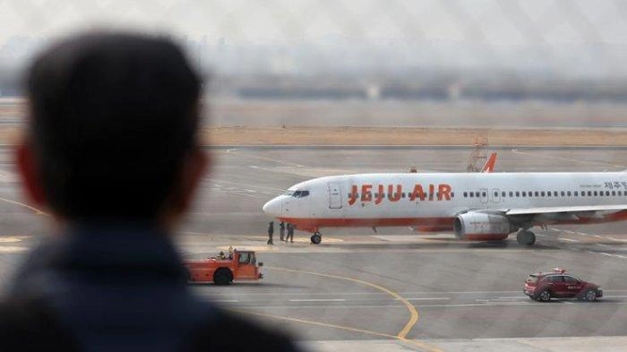 Jeju Air Pangkas 1.900 Penerbangan Domestik dan Internasional Buntut Kecelakaan Maut