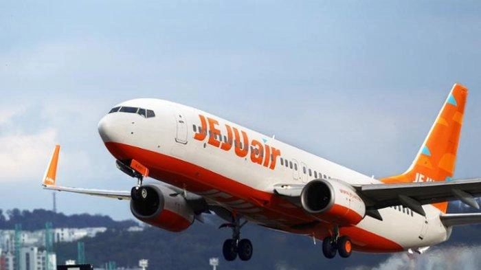 Keputusan Jeju Air Usai Kecelakaan: 1900 Penerbangan Dihentikan