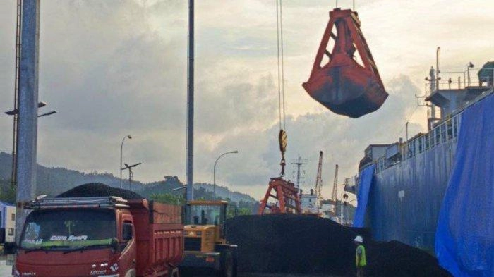 Awal Tahun 2025, Indonesia Ekspor Cangkang Sawit ke Korea Selatan