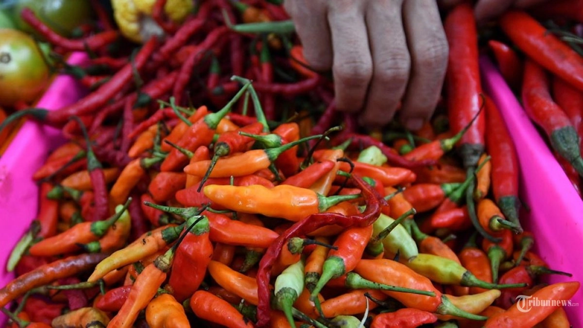 Pedasnya Harga Cabai, Beli Rp 5 Ribu Hanya Dapat 5-8 Biji