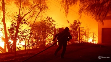 Kebakaran Hutan Los Angeles Menyebar ke Hollywood, 100.000 Orang Mengungsi