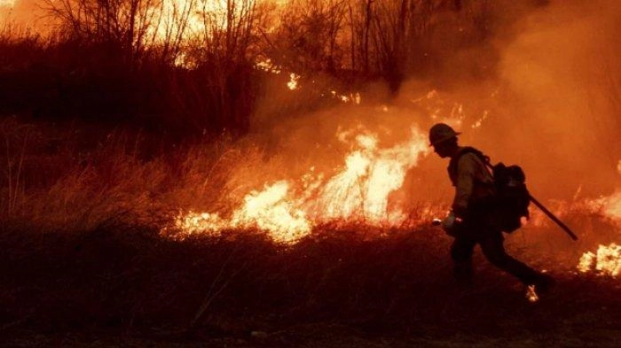Kebakaran Terbesar di Los Angeles: 10.000 Lebih Rumah Hangus, 400 Pemadam Kebakaran Dikerahkan