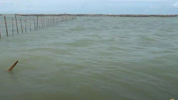 Pagar Laut  30,16 Km Mencakup 6 Kecamatan di Tangerang, Tingginya 6 Meter, untuk Proyek Apa?