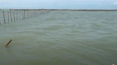 Pagar Laut  30,16 Km Mencakup 6 Kecamatan di Tangerang, Tingginya 6 Meter, untuk Proyek Apa?