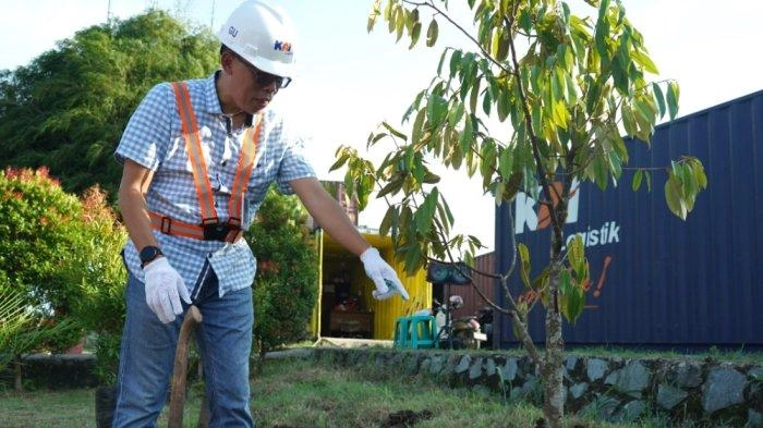 Jaga Kelestarian Lingkungan, 1.200 Pohon Ditanam di Berbagai Daerah