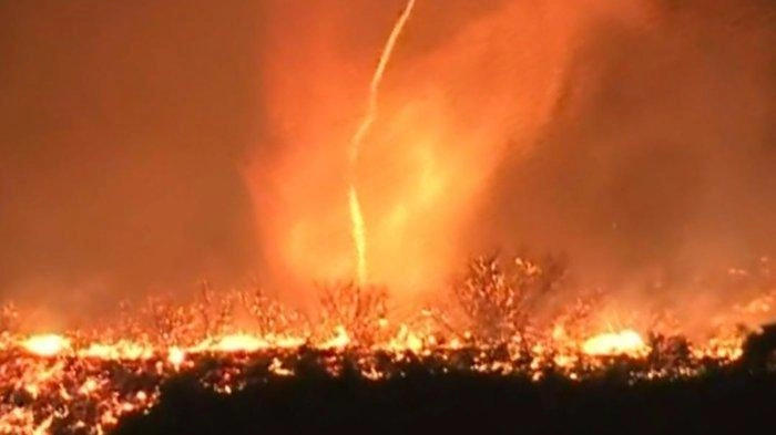 LA Dilanda Kebakaran Hutan, Netizen Bandingkan dengan Pembakaran Israel di Gaza