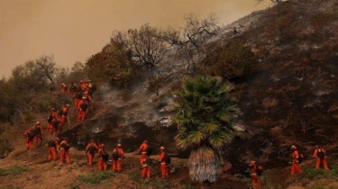 Narapidana Bantu Padamkan Kebakaran di Los Angeles, Dibayar hingga Ratusan Ribu per Hari