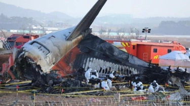 Temuan Inspeksi Pascajatuhnya Jeju Air, 7 Lokaliser dari 13 Bandara di Korsel Berpotensi Bahaya