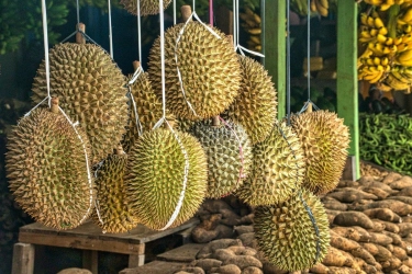 Nilai Ekspor Durian RI Rp 29,4 Miliar, tapi Nilai Impor Rp 58,9 Miliar