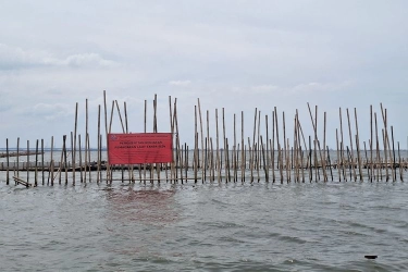Prabowo Perintahkan Pagar Laut Tangerang Dicabut dan Diusut Tuntas