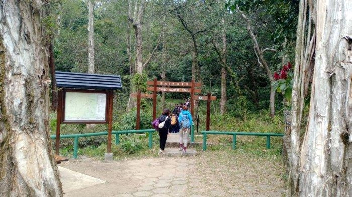 Mandi Hutan di Tai Mo San Hong Kong