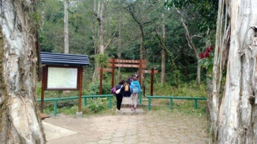 Mandi Hutan di Tai Mo San Hong Kong