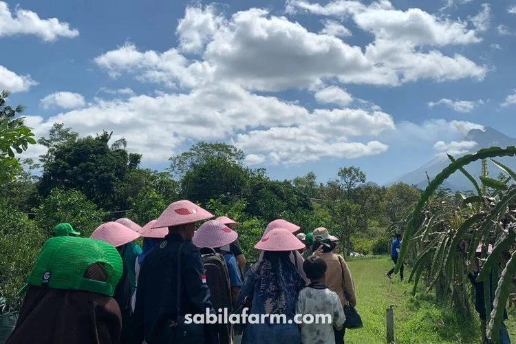 Sabila Farm Sleman: Harga Tiket, Jam Buka, dan Lokasi