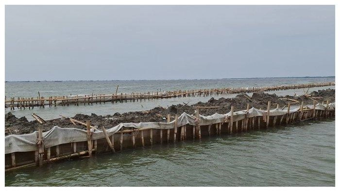 Pagar di Pesisir Laut Bekasi, Nelayan Keluhkan Pendapatan Anjlok dan Perahu Rusak