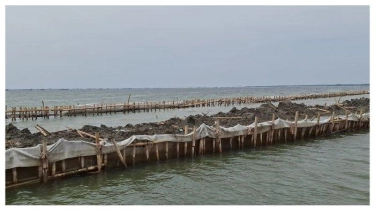 Pagar di Pesisir Laut Bekasi, Nelayan Keluhkan Pendapatan Anjlok dan Perahu Rusak